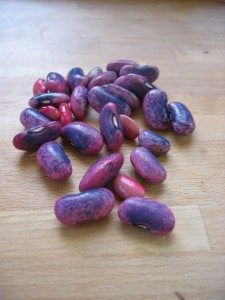 Scarlet Runner Beans Shelled Scarlet Runner Beans