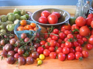 Tomatoes Tomatoes