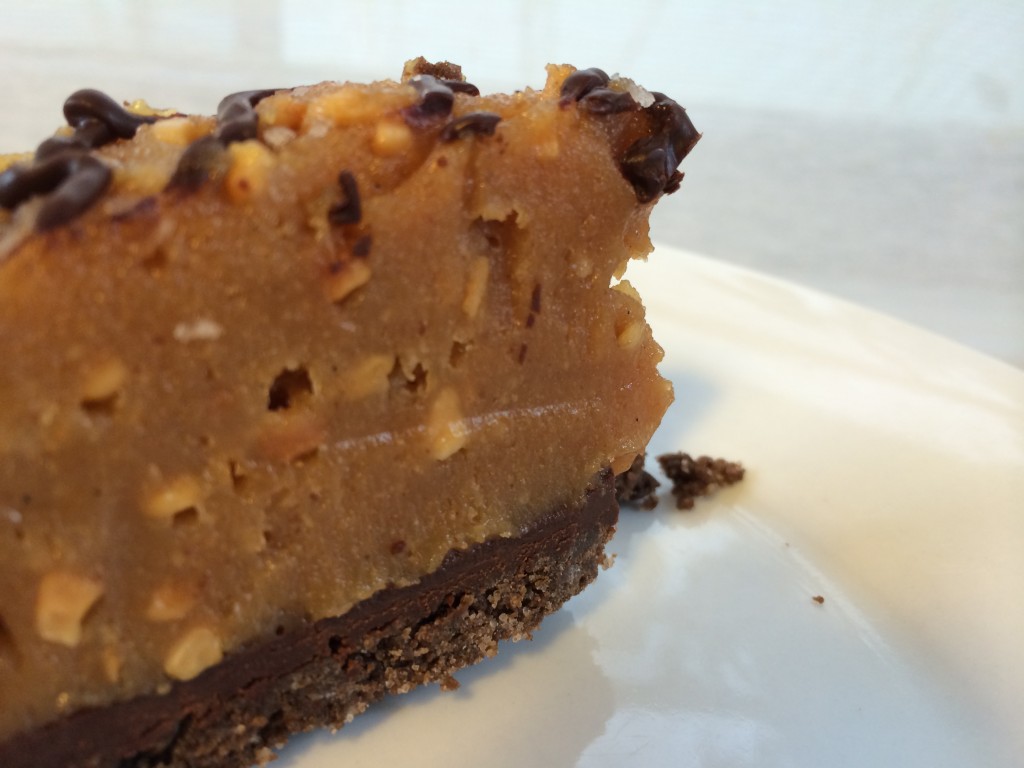 peanut butter chocolate pie slice detail 1